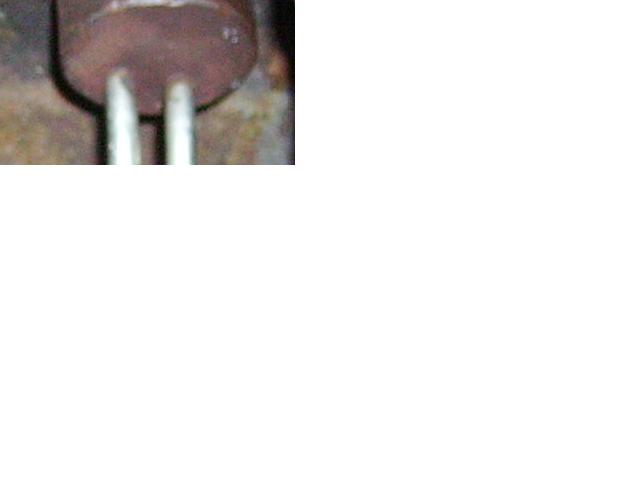 Pilt