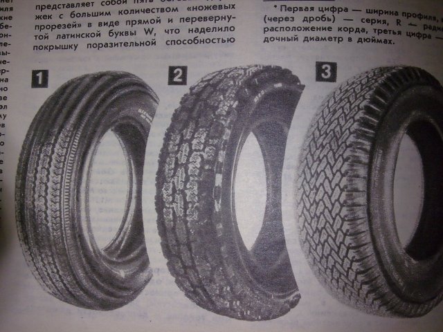 Pilt